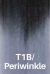 T1B/Periwinkle (OMBRE Schwarz/Blau-Violett)