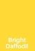 Bright Daffodil